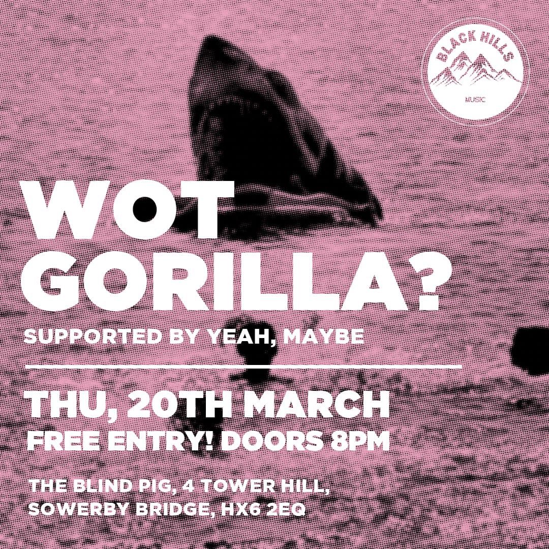 Wot Gorilla? Live at The Blind Pig