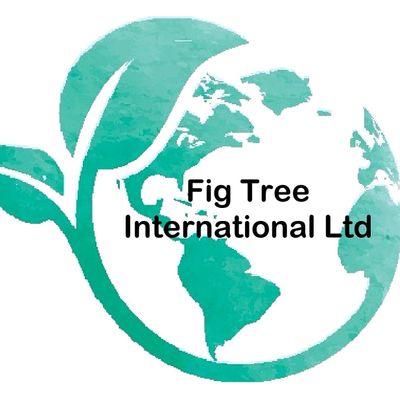 Fig Tree International Ltd