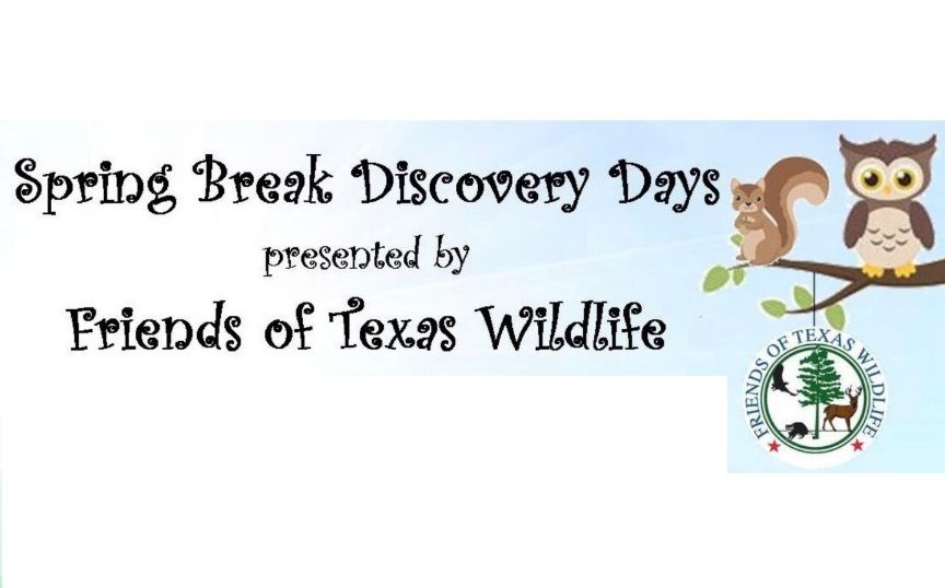 FTWL Spring Break Discovery Days - March 10, 12, and 14; 10a-2p