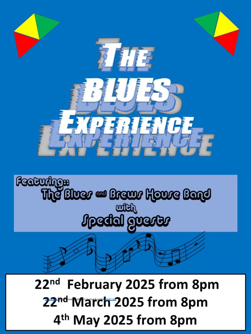 The Blues Experience 