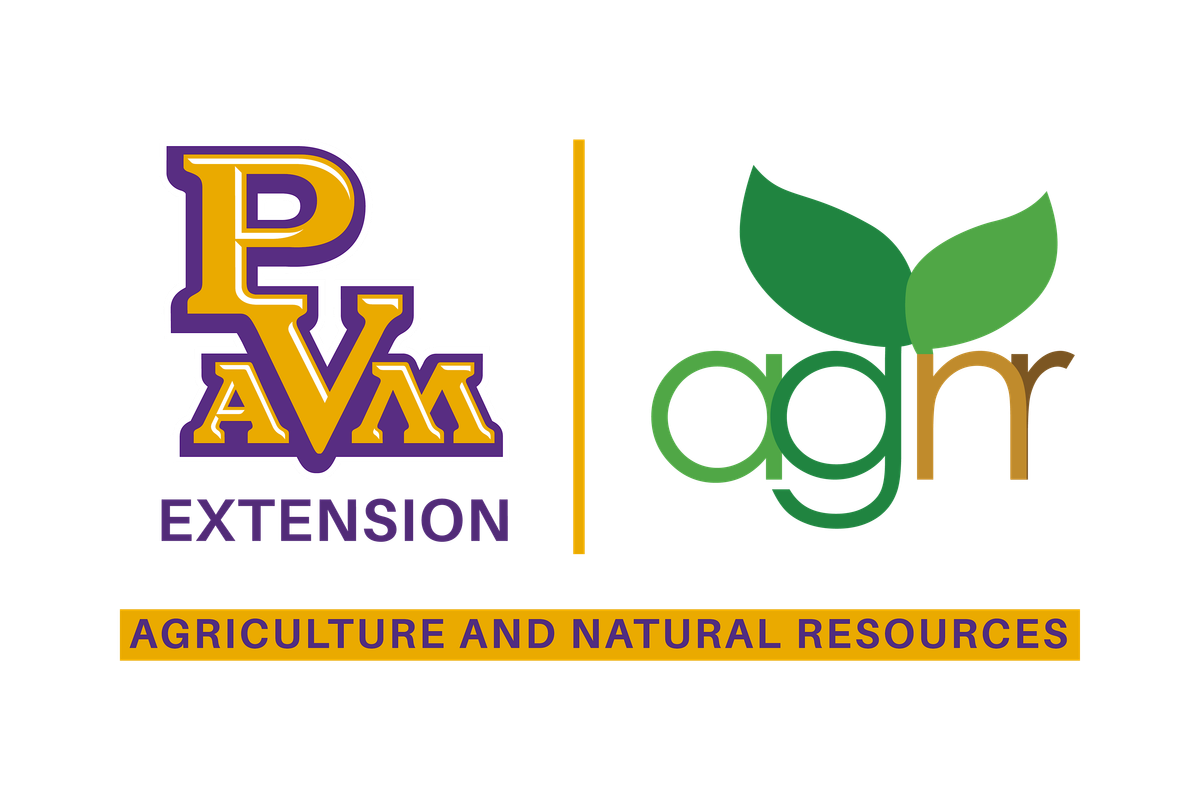 Heirs Property Workshop