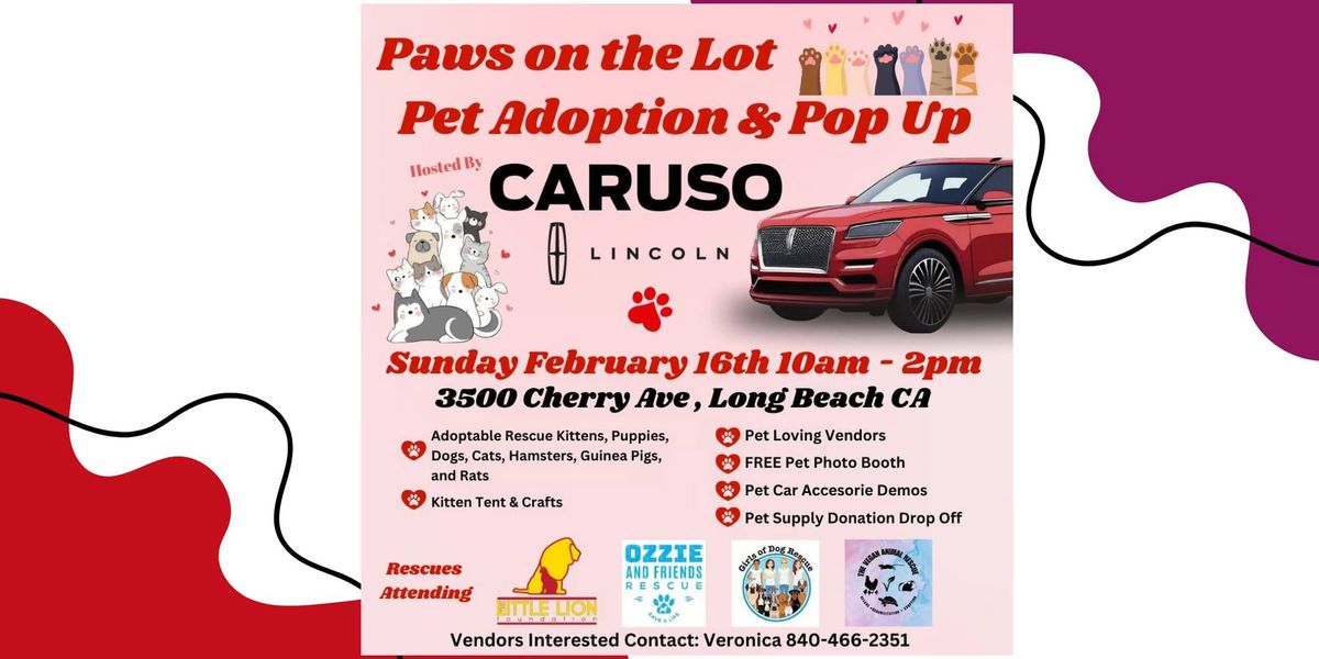 Caruso Lincoln Pet Adoption & Pop Up Party