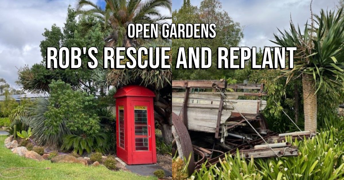 Rob's Rescue and Replant - Open Gardens SA