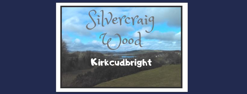 Orienteering in Silvercraig and Barhill Wood