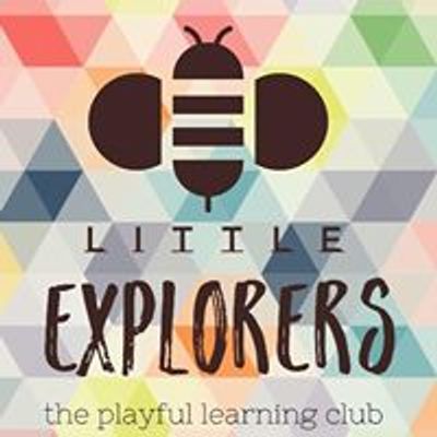 Little Explorers Palm Harbor