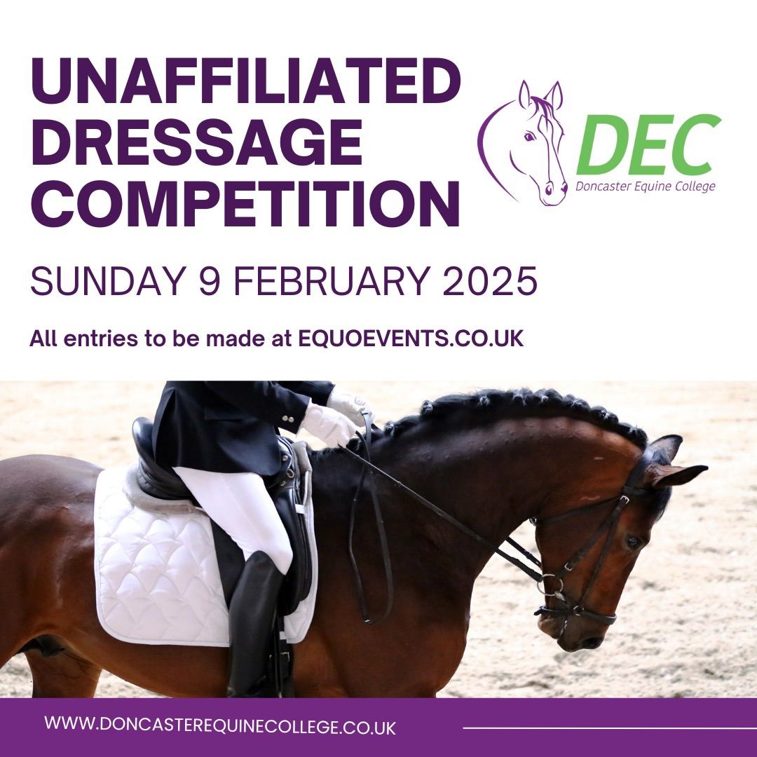 Unaffiliated Dressage Competition