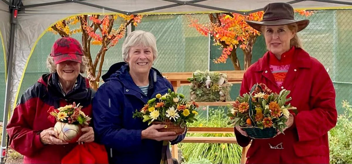 Healdsburg Garden Club Thanksgiving Plant Sale