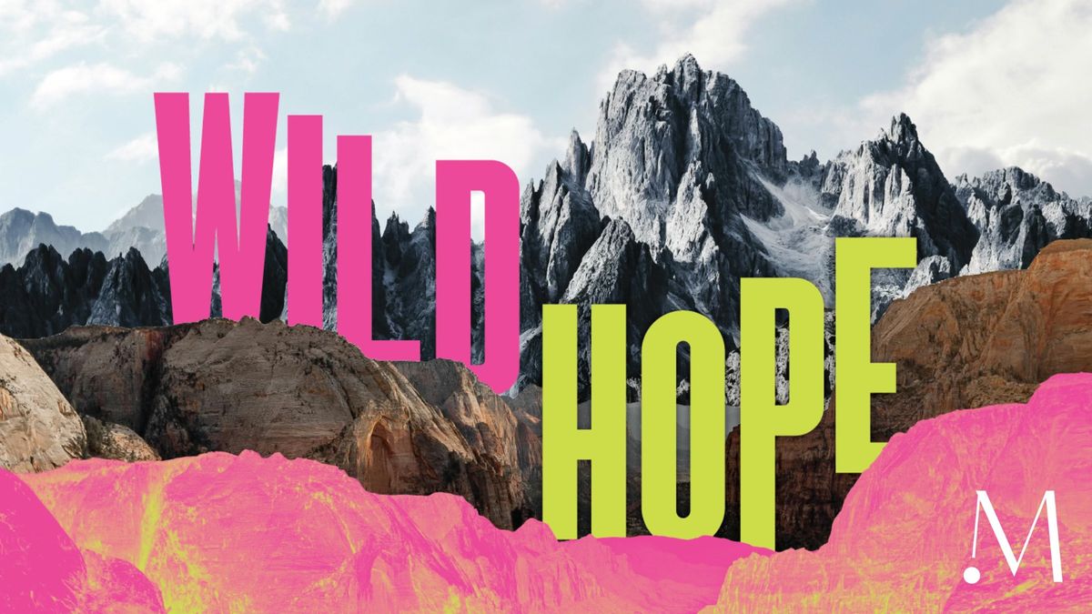 MOMCO | Wild Hope