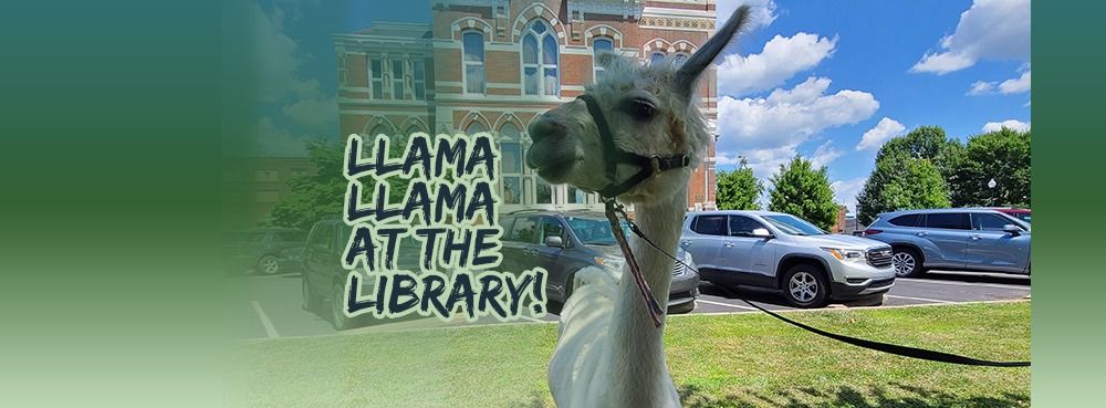 Llama Llama at the Library