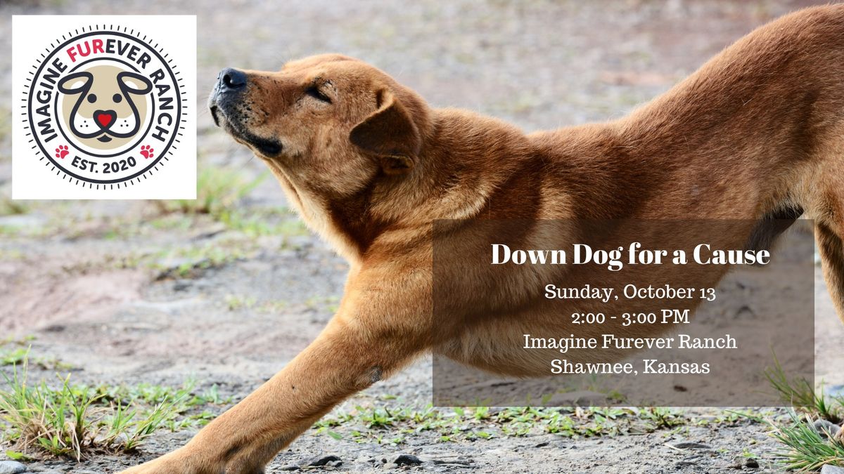 Down Dog for a Cause