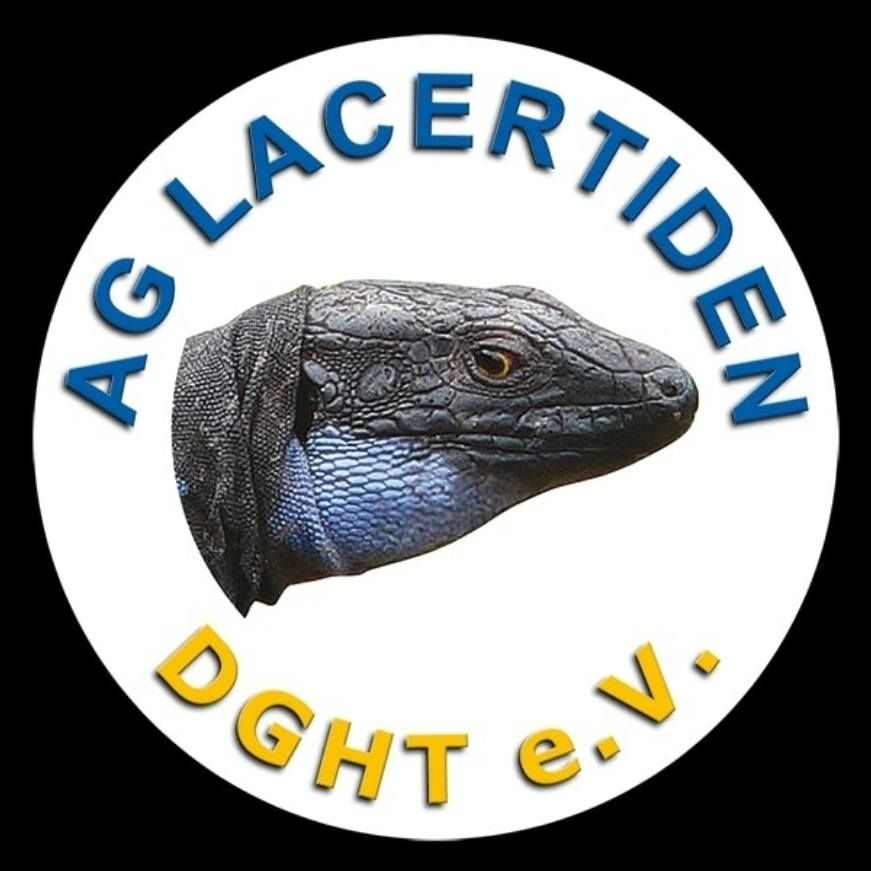 Tagung der AG Lacertiden 2025