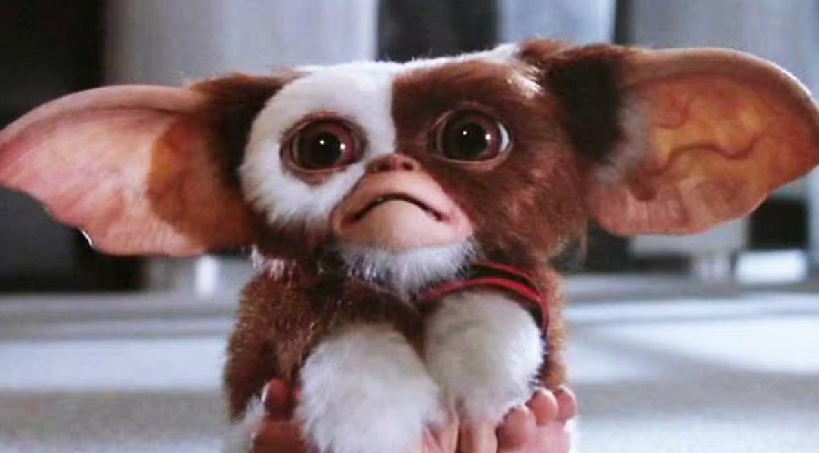 Projection de Gremlins : Cin\u00e9 & Quiz de No\u00ebl