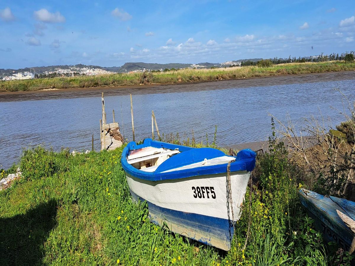 Caminhando na Figueira da Foz - Serra da Boa Viagem e Montemor-o-Velho