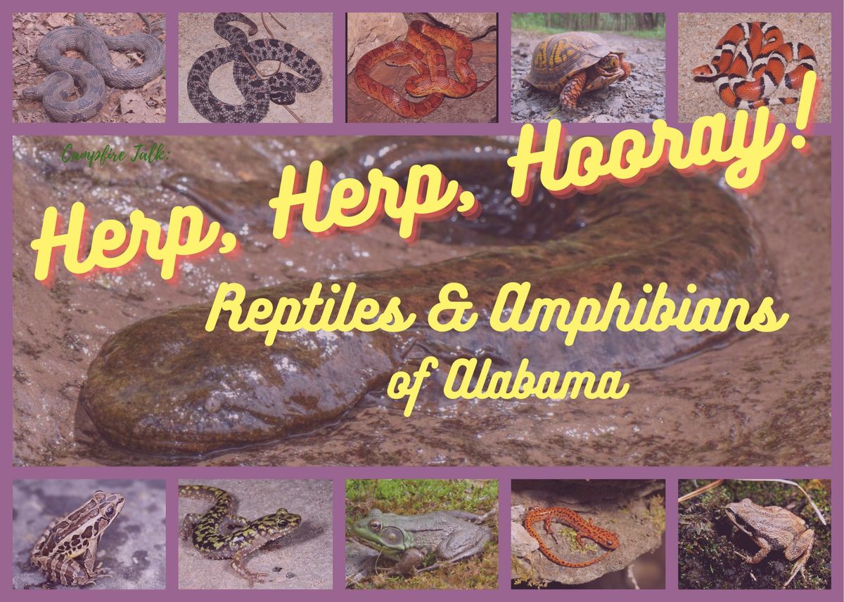 Herp Herp, Hooray!  Reptiles & Amphibians of Alabama