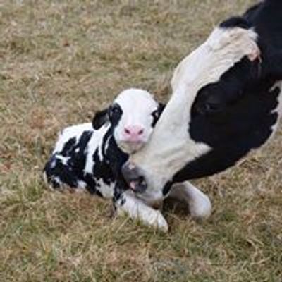 Northwest Michigan 4-H Livestock Council