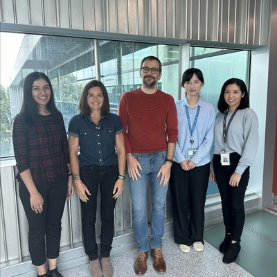 Monash BDI Organoid Program