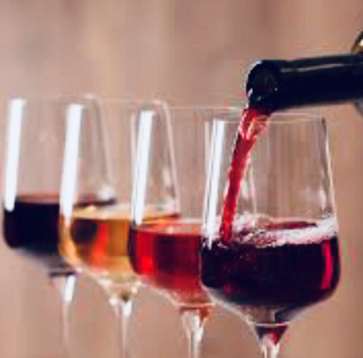 Tuesday Night Wine Tasting: Sommeliers Favorites 