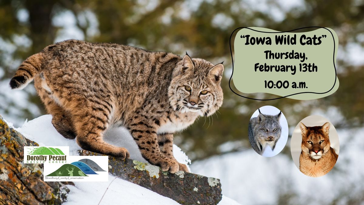 Iowa Wild Cats Homeschool Program