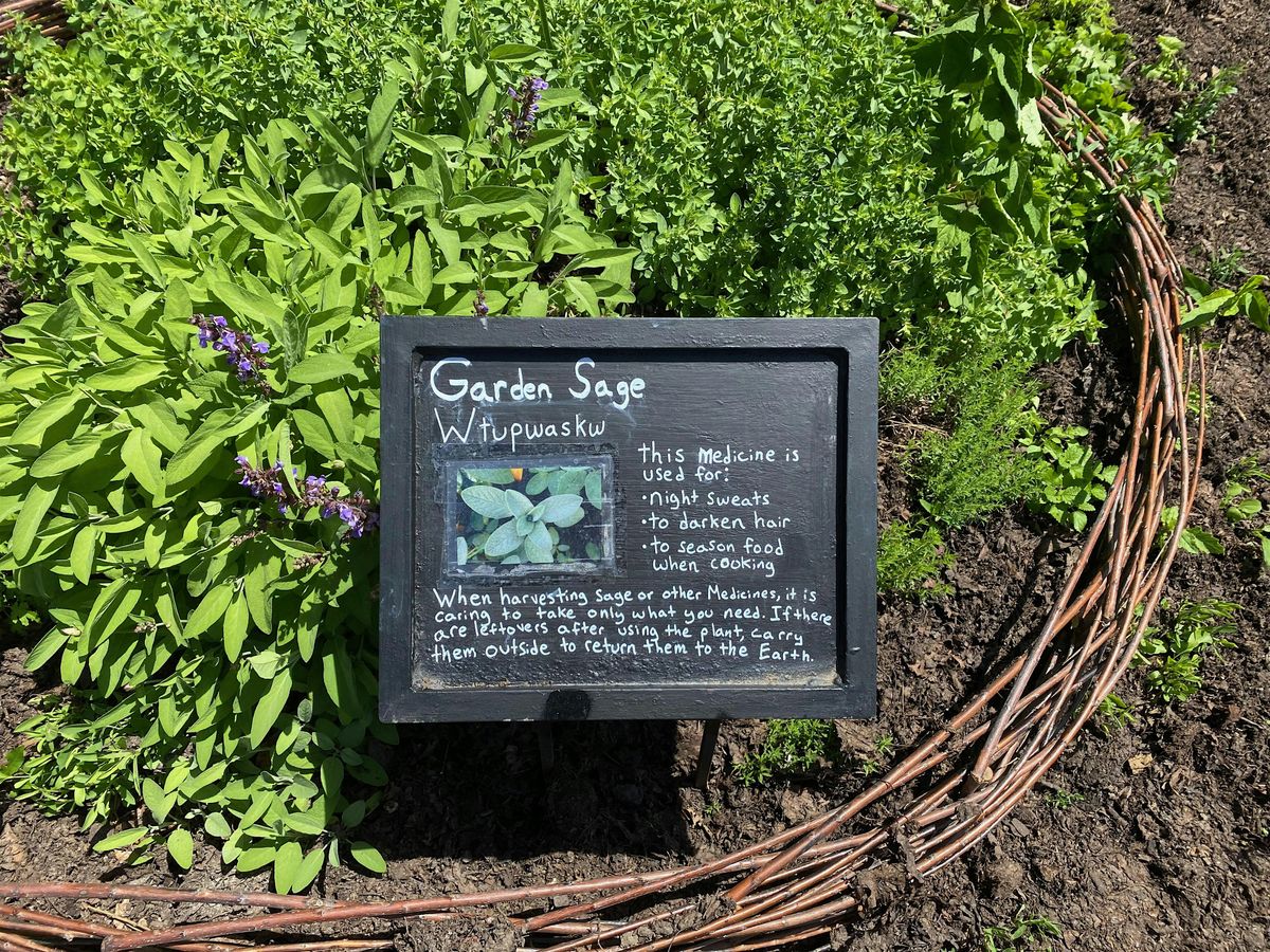 Garden mocktails
