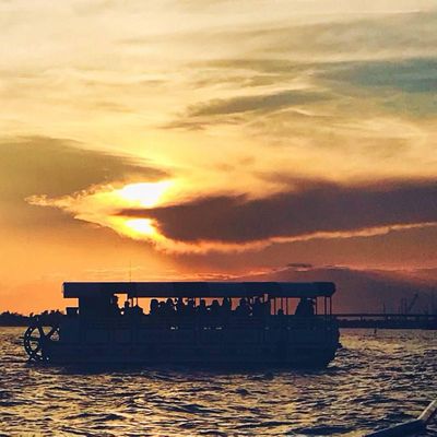 Harbor Bar Boat Tours