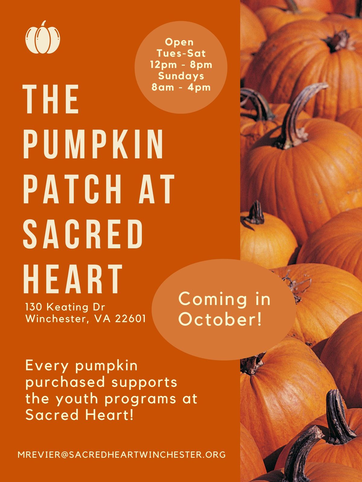 The Pumpkin Patch at Sacred Heart