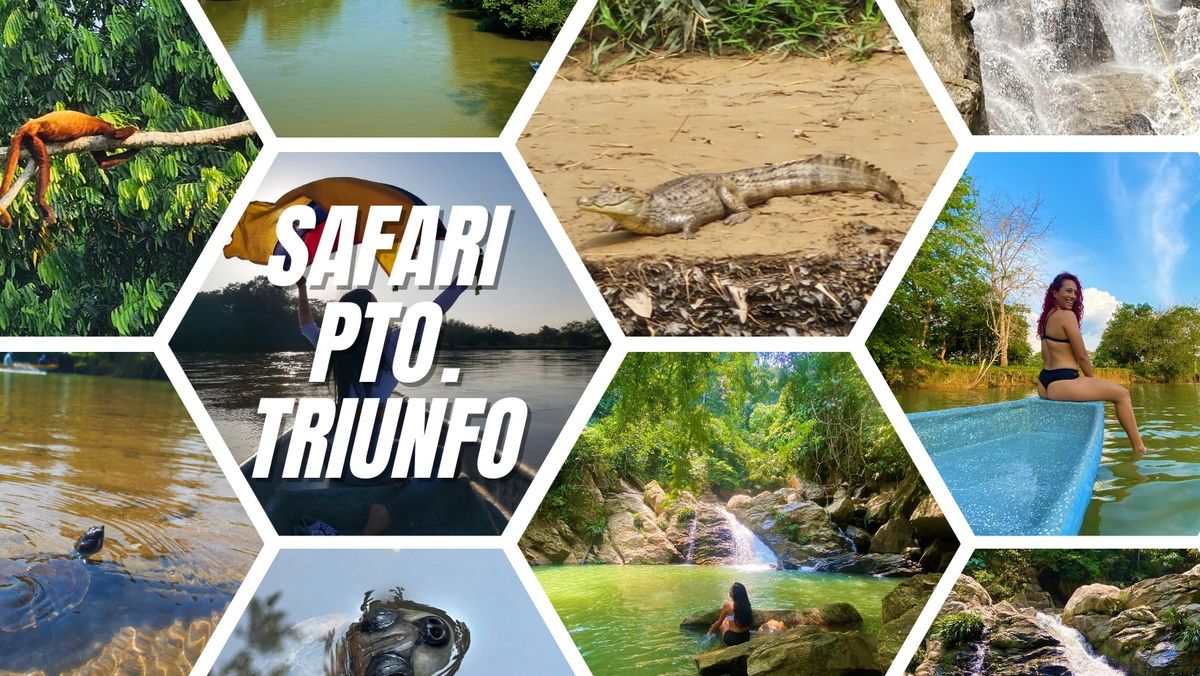 SAFARI en Puerto Triunfo X 2 d\u00edas: adopci\u00f3n y liberaci\u00f3n de tortugas