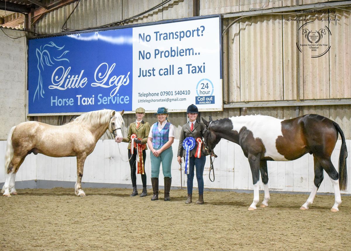 In Hand Showing Show Sunday