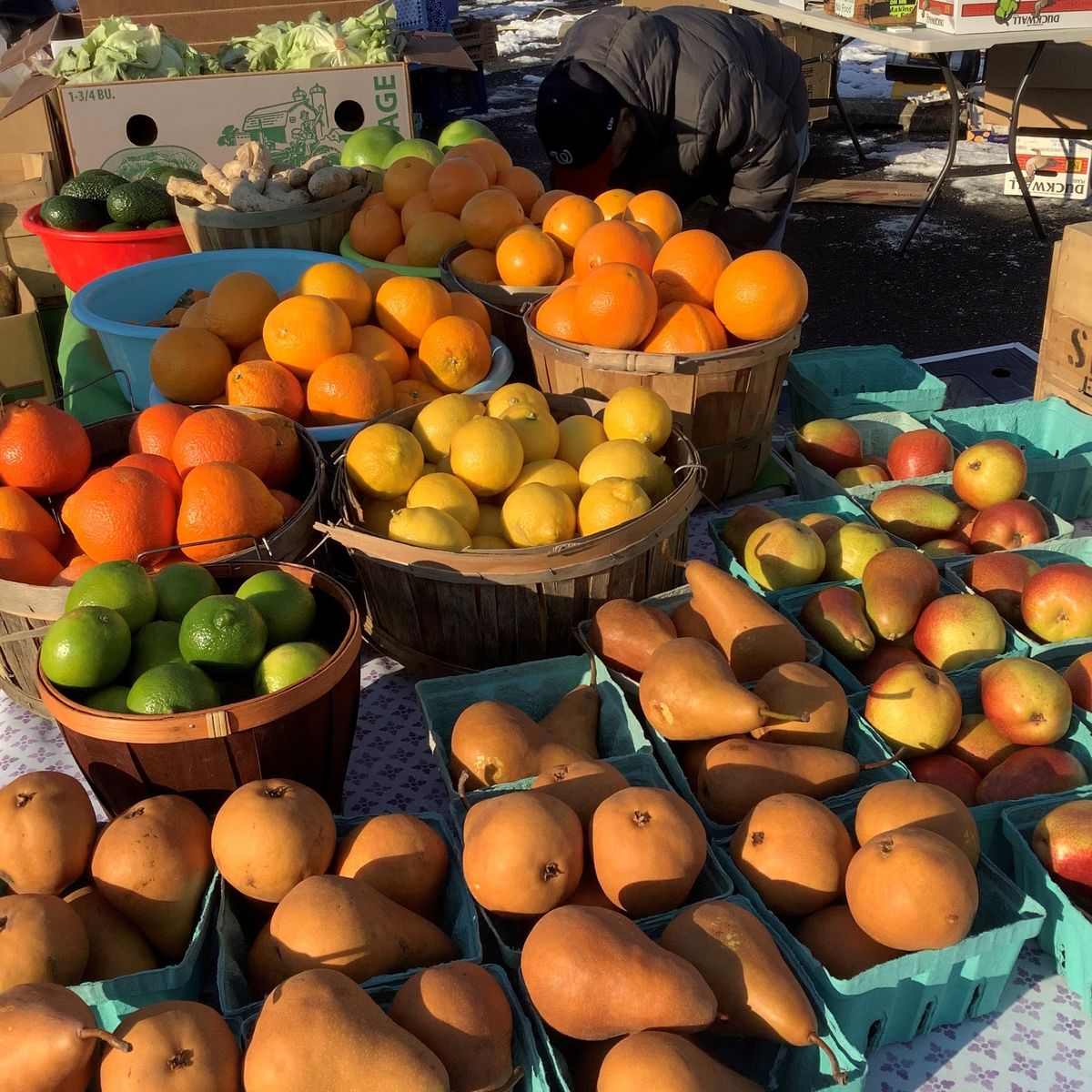 West End Farmer's Market Sundays at Cameron Station