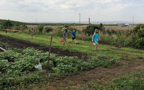 Farm Kids Summer Camp Session 3 Welcome Table Farm Walla Walla 26 July To 30 July