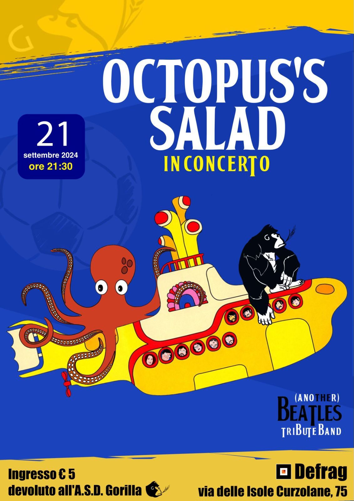 Octopus's Salad in concerto