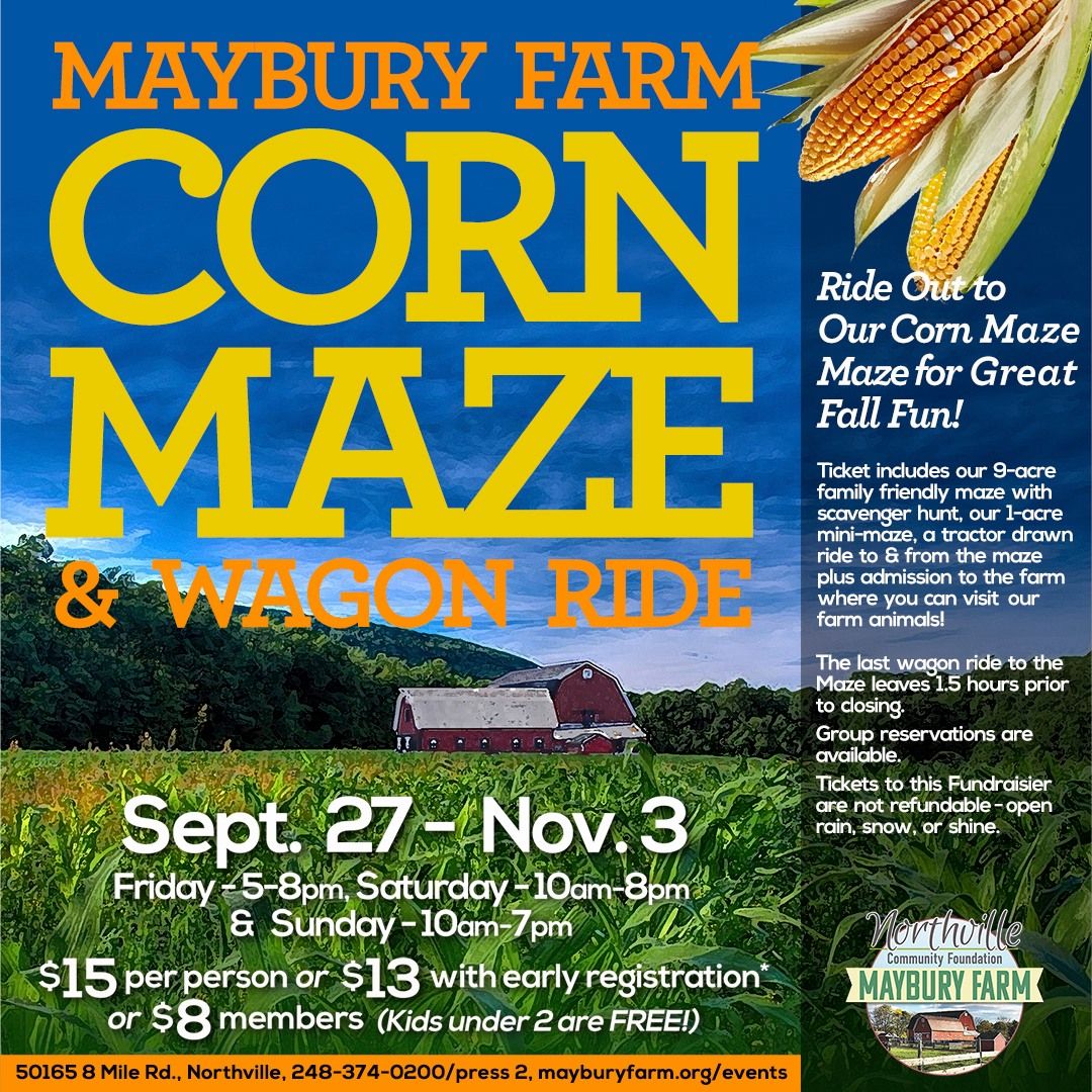 Maybury Farm Corn Maze