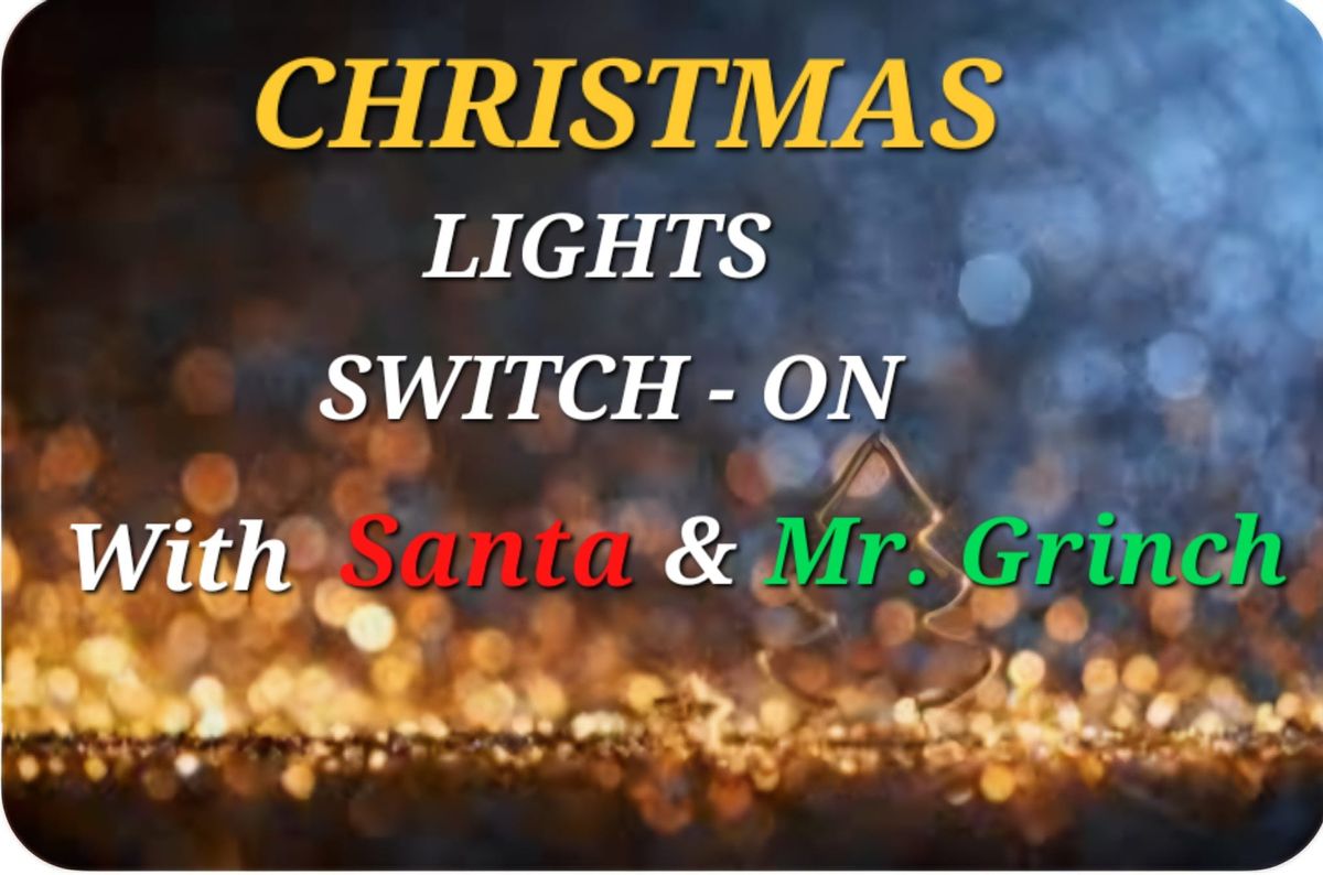 CHRISTMAS LIGHTS SWITCH - ON 