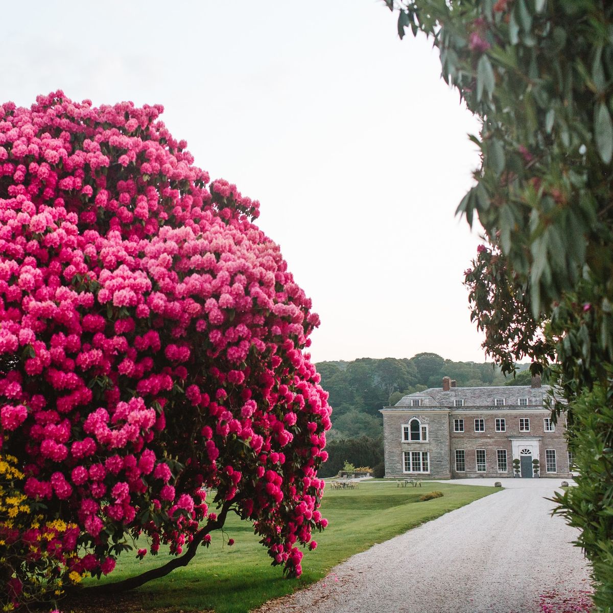 History Tour of Boconnoc House with Catherine Lorigan