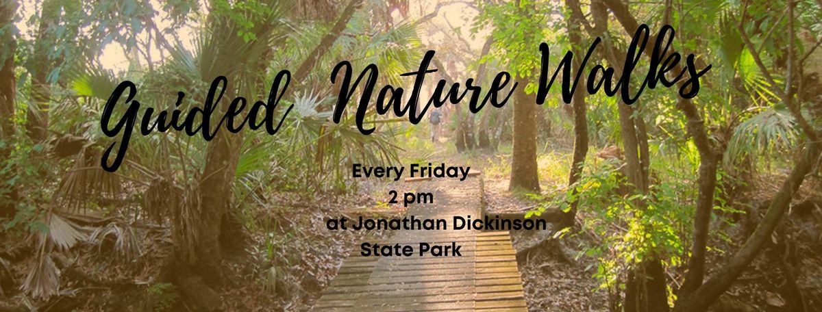 Guided Nature Walk 