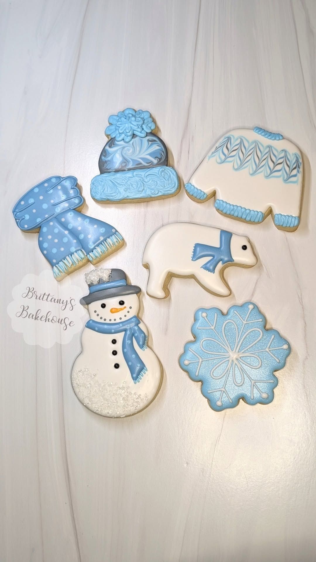 Winter Wonderland Cookie Class