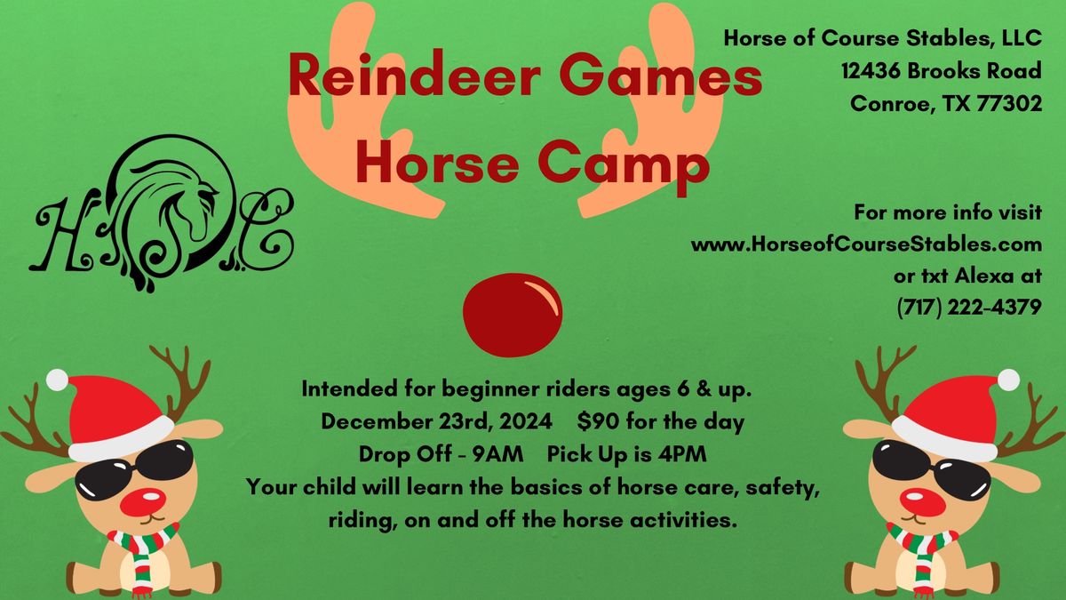 Holiday Horse Camp