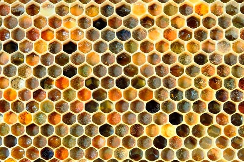 Recognize this NEW Beekeeping Page!