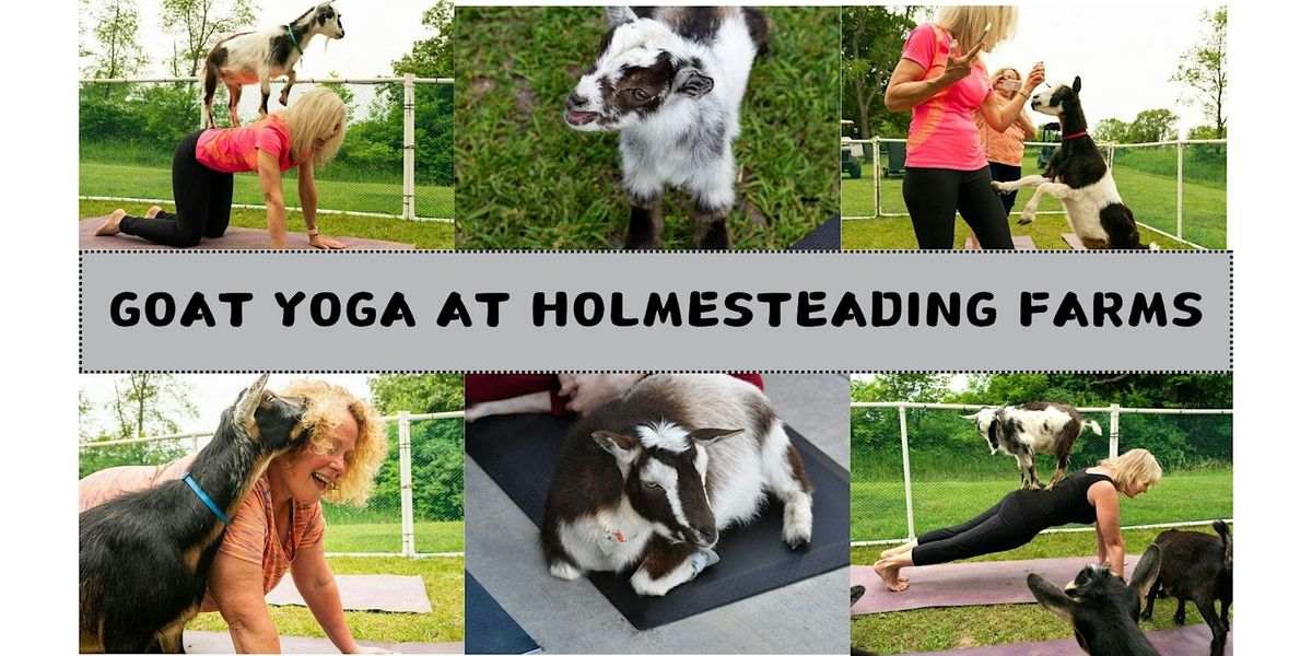 Goat Yoga