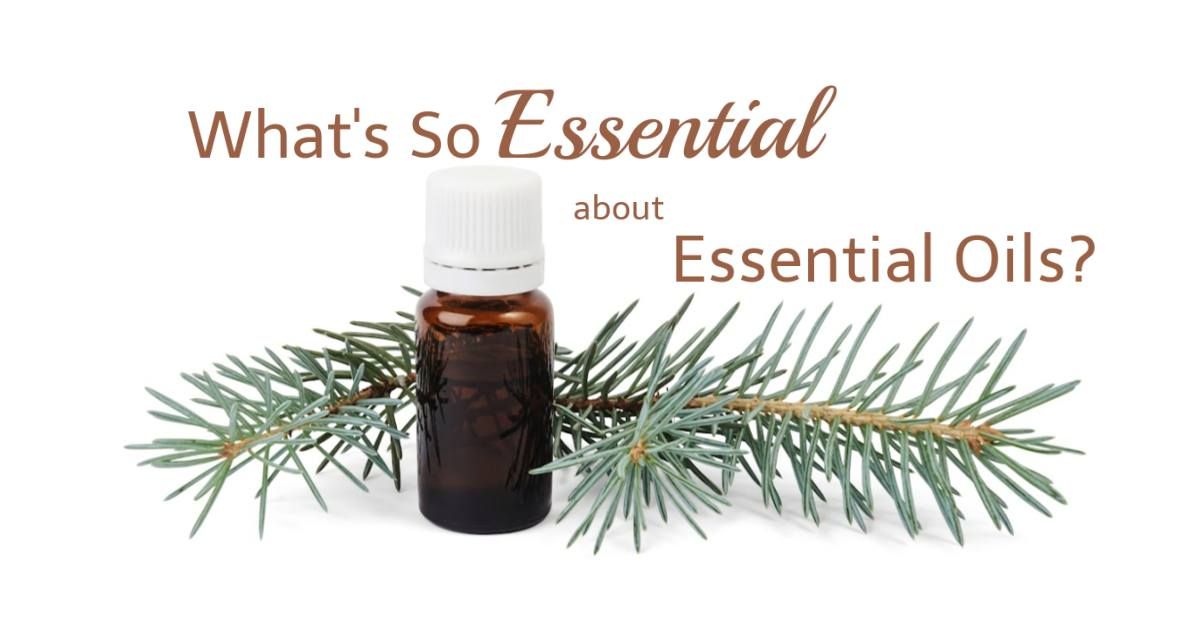 Essential Oil Basics for Beginners and Pros