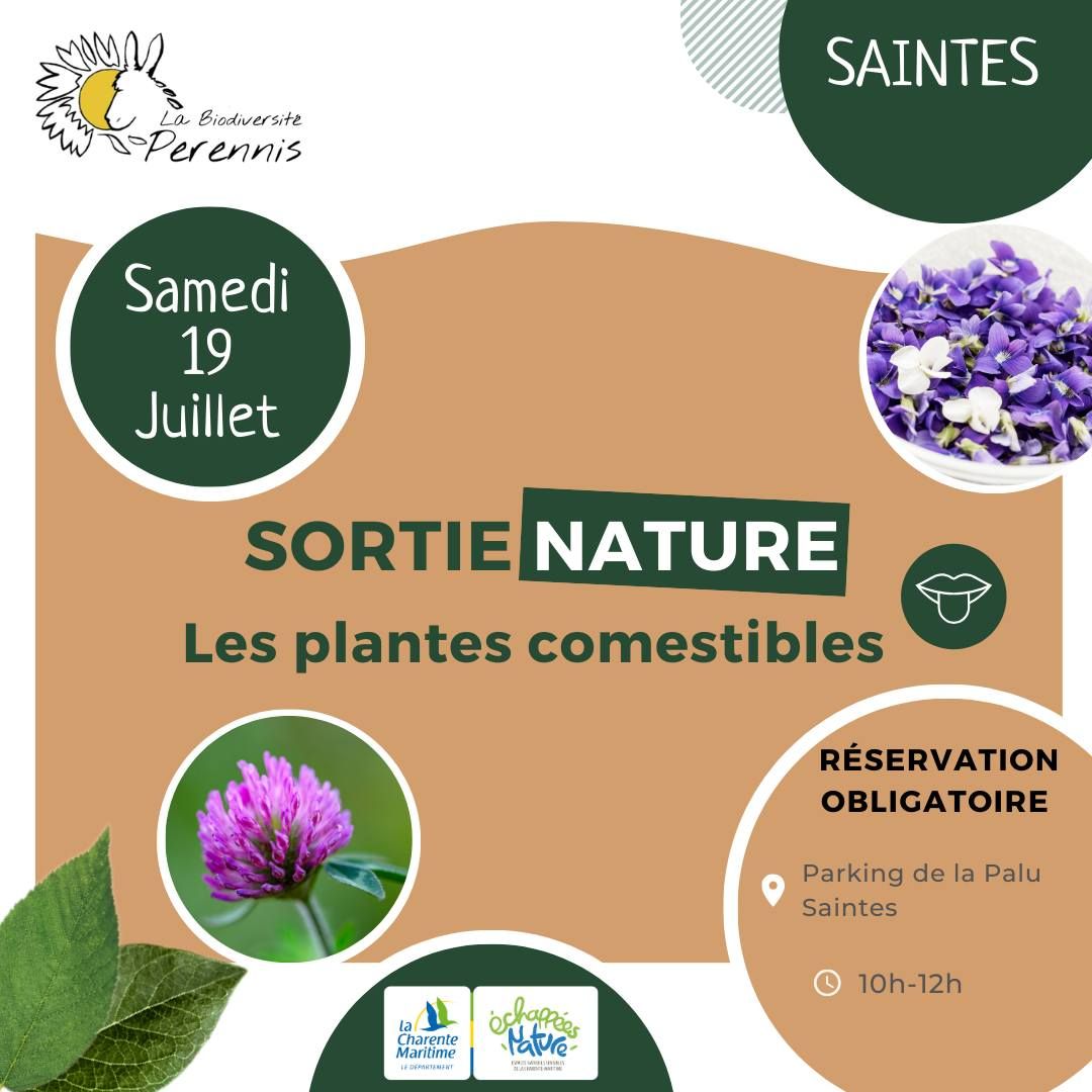 Les plantes comestibles