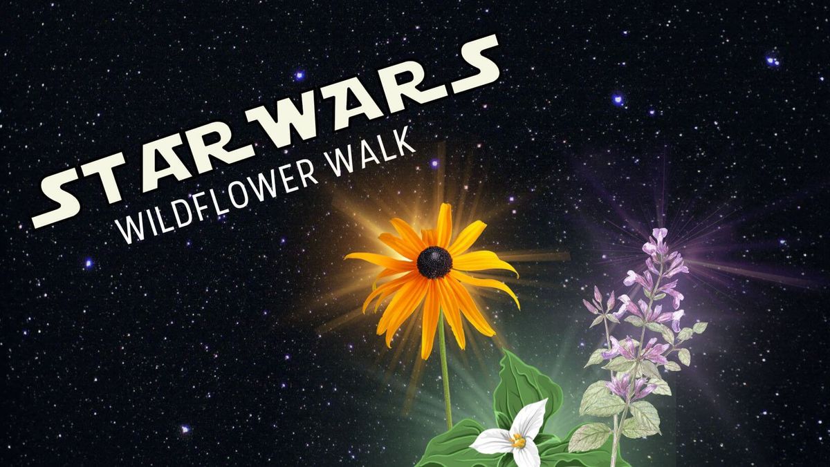 Star Wars Wildflower Walk 