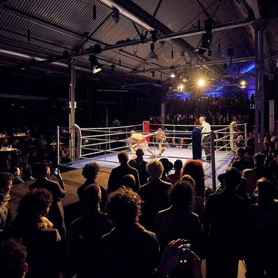 Troja Boxing Berlin * PFB * MarioMatch * GBC