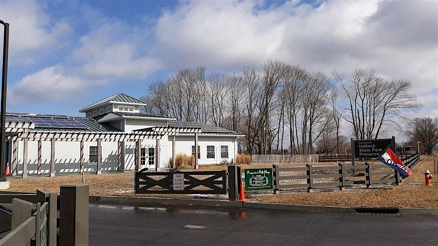 Stewardship Sunday: Hallock Beach Habitat Establishment