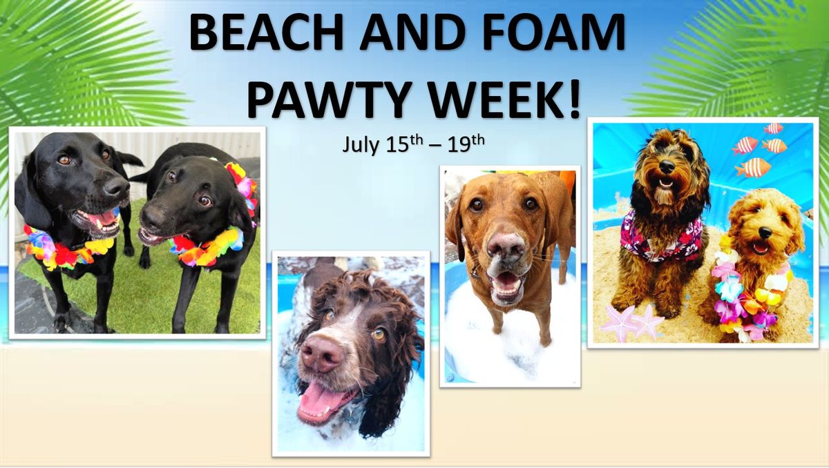 BEACH AND FOAM WEEK AT SUFFOLK DOG TOWN!