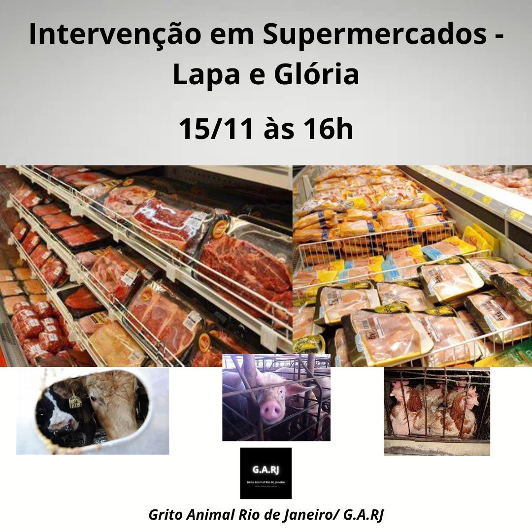 Interven\u00e7\u00e3o em Supermercados- Lapa e Gl\u00f3ria