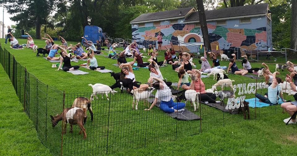 Goat Yoga @ Overton Park Shell (SOLD OUT)