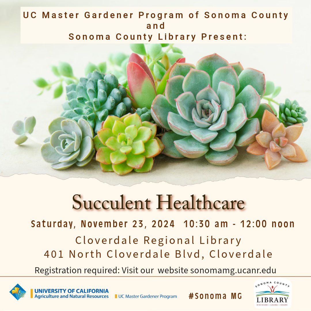 Healthcare for Succulents