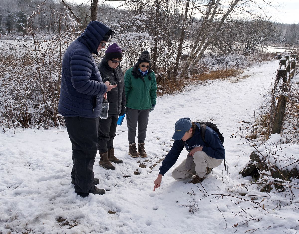 Wildlife Tracking for Beginners 