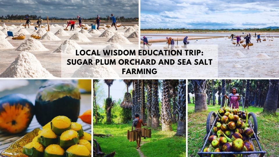  Local Wisdom Education Trip: Sugar Plum Orchard and Sea Salt Farming