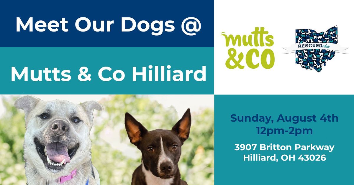 RESCUEDohio Adoption Event - Mutts & Co Hilliard